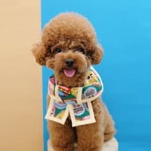 綠色懷舊朱古力 x 蛋黃間條 蝴蝶cut (方腳)