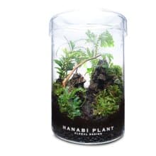 【訂製】蕨醒經典生態瓶-經典直筒(小)