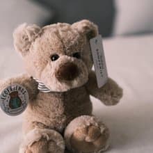 北歐 瑞典 Teddykompaniet Malte 小褐熊