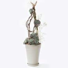 母親節禮物 - 大地之母 / 盆栽 植物 多肉 台灣設計 有肉