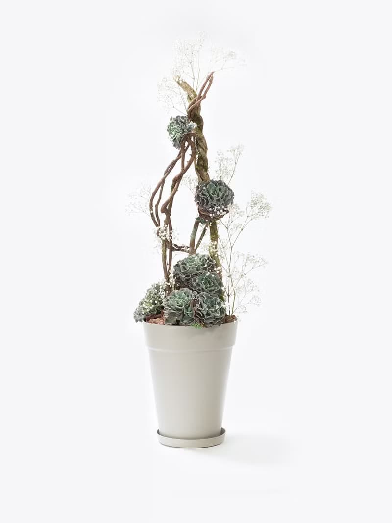 母親節禮物 - 大地之母 / 盆栽 植物 多肉 台灣設計 有肉