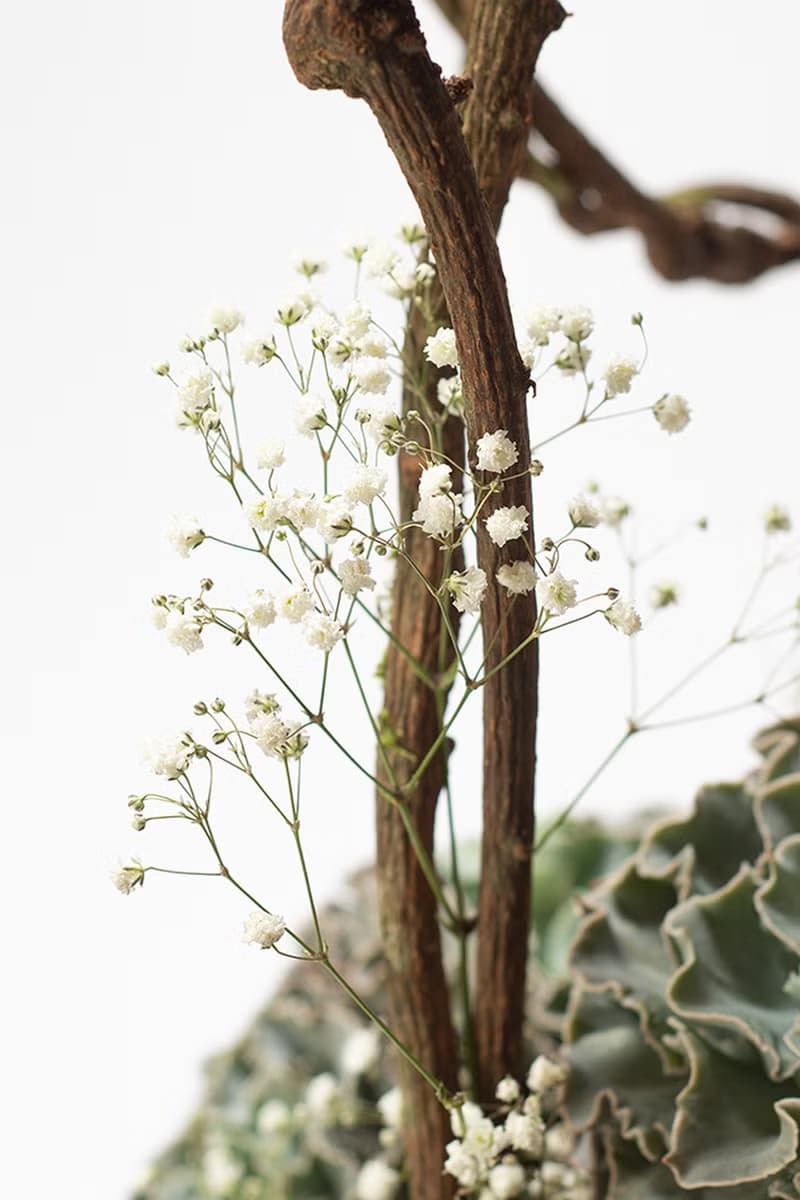 母親節禮物 - 大地之母 / 盆栽 植物 多肉 台灣設計 有肉