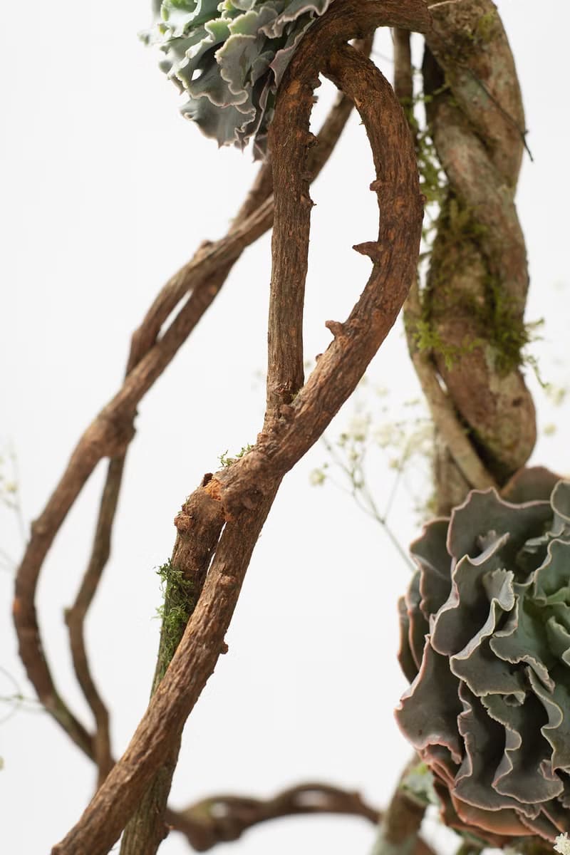 母親節禮物 - 大地之母 / 盆栽 植物 多肉 台灣設計 有肉