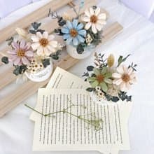 恬靜小時光 小雛菊盆花 永生花