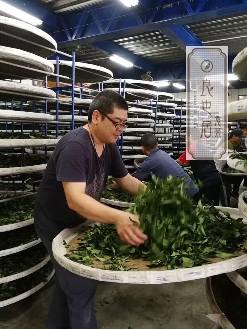 峨眉東方美人100%手摘 原葉茶包 50包量販