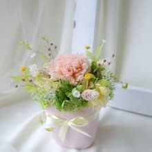 【小盆花】盆栽/綠色/不凋花/永生花/乾燥花/七夕/情人節/母親節