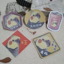 玄鳳鸚鵡-原生種-春聯-防水貼紙~利是封-揮春-福貼-車貼-行李箱貼