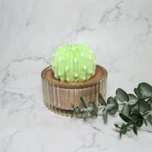 ∣多肉植物造型擴香石∣辦公桌療癒小物∣手作擴香石/接單訂製