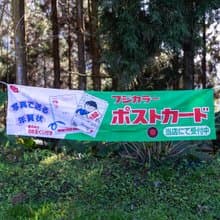 桑惠商號  昭和 日本製 富士FUJIFILM 特別色印刷廣告紀念旗幟
