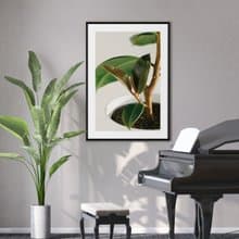 青翠碧綠•橡皮樹II -招財裝飾畫/新居落成/複製畫/開店禮物/綠植