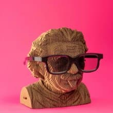 Cartonic - ALBERT EINSTEIN 愛因斯坦 3D立體拼圖