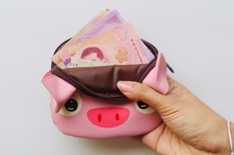 【雙11折扣】Pig coin purse ,small synthetic leather wallet bag with zip.various card