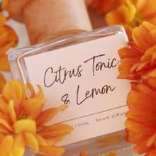 【柑橘蘇打與檸檬 Citrus Tonic & Lemon】藤枝香薰 150ML