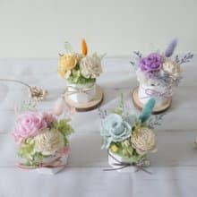 【春日系玫瑰擴香小盆花】擴香石盆花/禮物/療癒小物