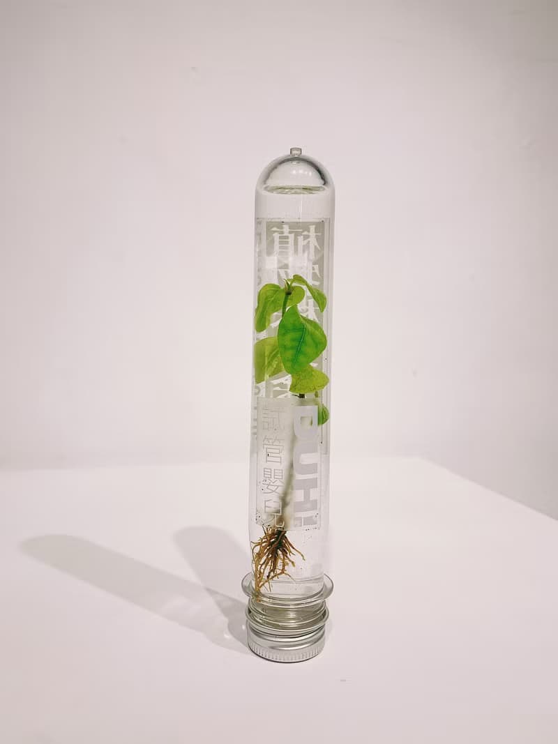 試管嬰兒 植物株式会社