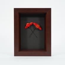 福鹿壽喜  畫框│結婚禮物│升遷榮調│生日禮物│畢業禮物