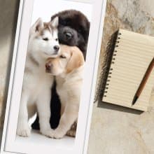 裝飾畫-附畫框 | 入厝禮| 掛畫| 民宿佈置|  室內設計| 海報