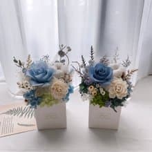 YUNYUN【冷色系】永生盆花M / 祝賀 生日 喬遷 新居