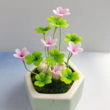 冷瓷土/黏土花藝-幸運草小盆栽/送禮