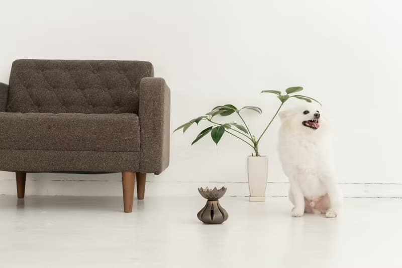 Golden Tulip  ペットボウル　食器スタンド　小型犬　中型犬　ネコ　陶器