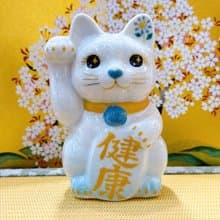 【水喵祈康】日本清水燒招財貓 | 花結晶 水白 - 健康 右