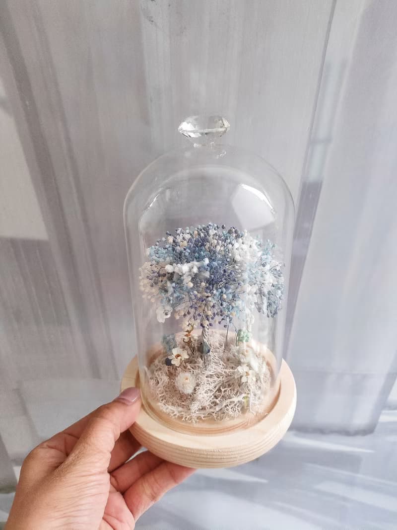 許願滿天星樹 玻璃花盅-永生花玻璃鐘罩 畢業禮物畢業 老師禮物