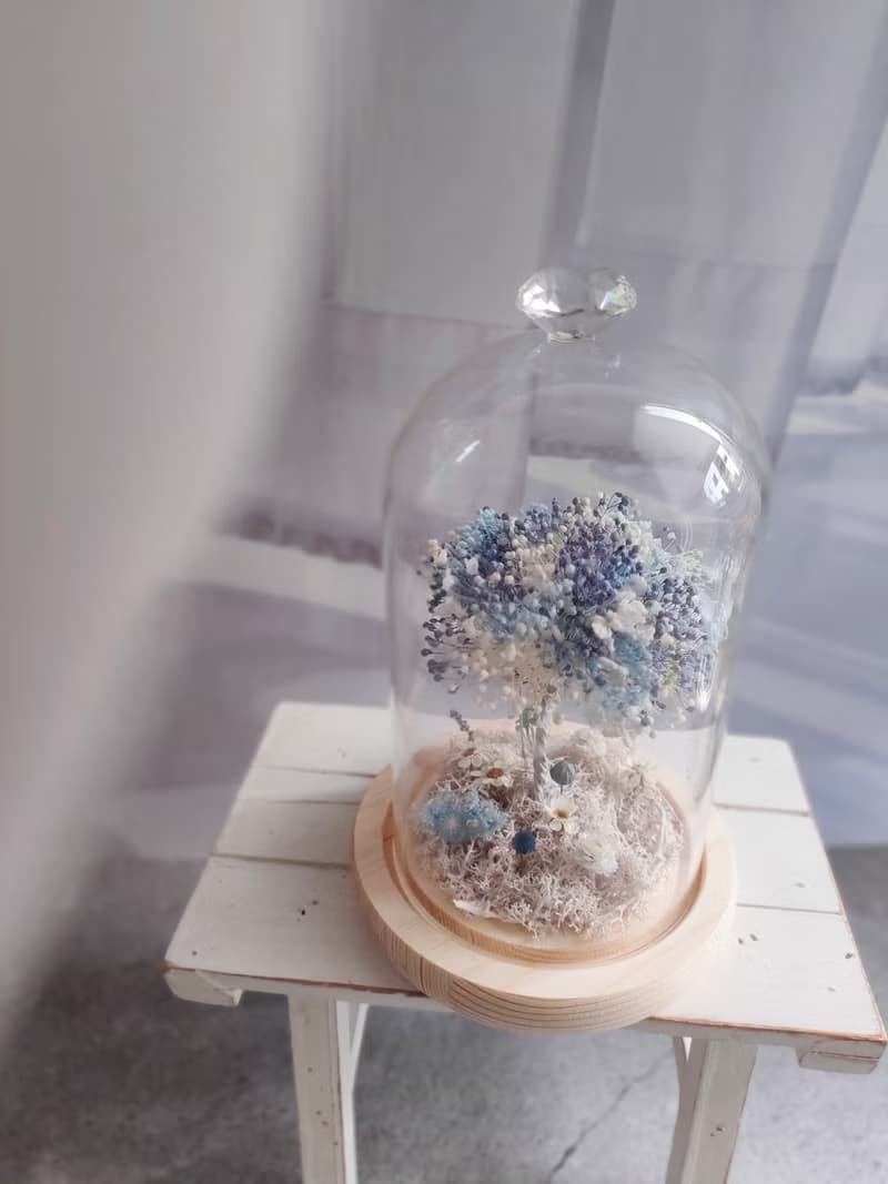 許願滿天星樹 玻璃花盅-永生花玻璃鐘罩 畢業禮物畢業 老師禮物