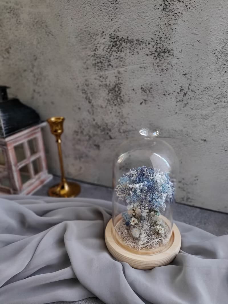 許願滿天星樹 玻璃花盅-永生花玻璃鐘罩 畢業禮物畢業 老師禮物