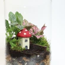 【微景觀】蘑法村 - 森林小屋/隱居山林/室內植物/生日禮物