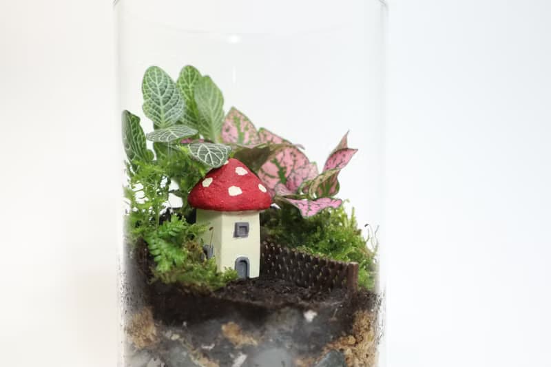 【微景觀】蘑法村 - 森林小屋/隱居山林/室內植物/生日禮物