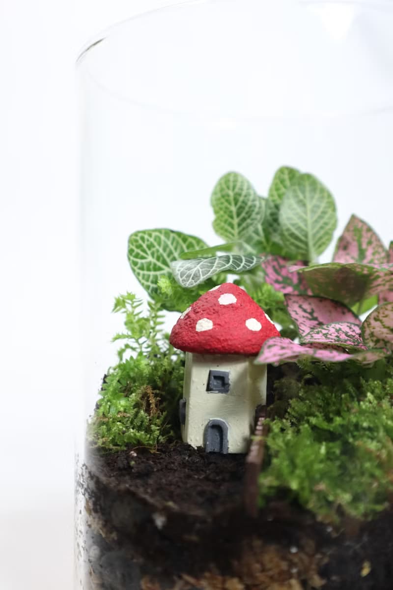 【微景觀】蘑法村 - 森林小屋/隱居山林/室內植物/生日禮物
