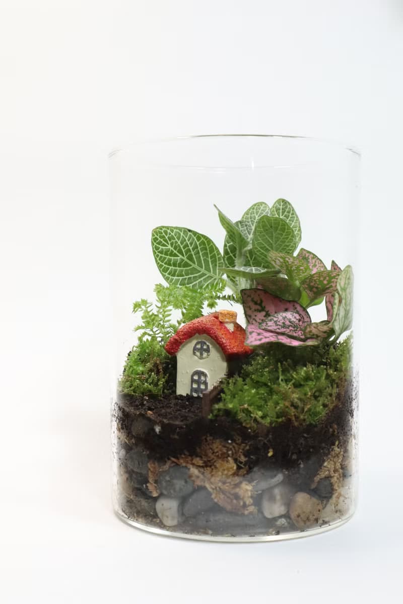 【微景觀】蘑法村 - 森林小屋/隱居山林/室內植物/生日禮物