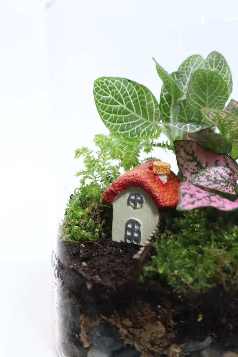 【微景觀】蘑法村 - 森林小屋/隱居山林/室內植物/生日禮物