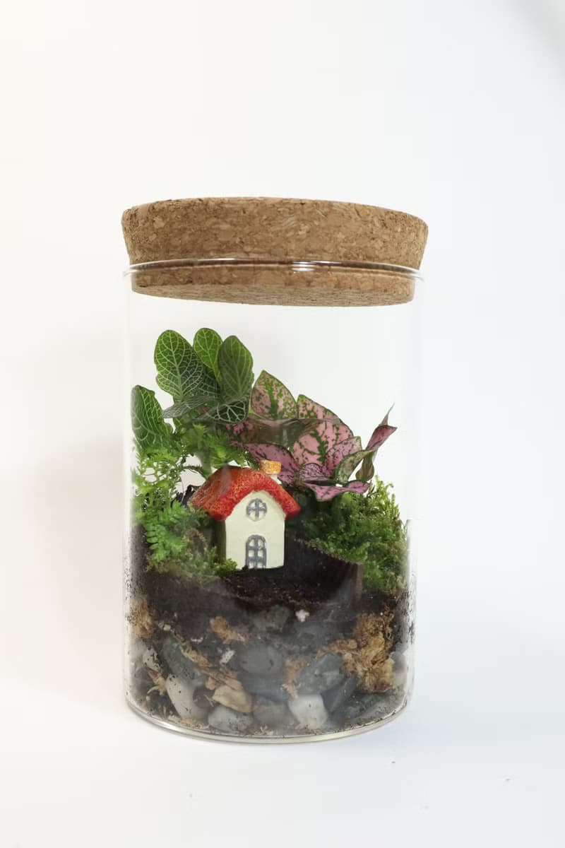 【微景觀】蘑法村 - 森林小屋/隱居山林/室內植物/生日禮物