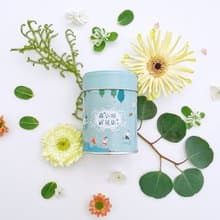 【任選兩罐】沁涼薄荷檸檬草 花草茶 夏日冷泡首選 沁涼舒暢
