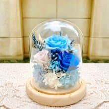 永生花/乾燥花/柱型/夜燈/玻璃盅/玻璃罩