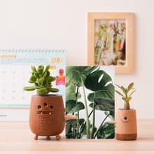 【外星人】造型盆栽罐 不含植物 |1251039  蒔光