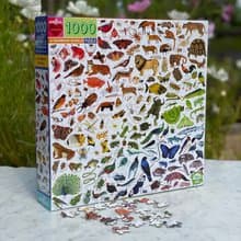 eeBoo 1000片拼圖 -彩虹世界 A Rainbow World 1000 Piece Puzzle
