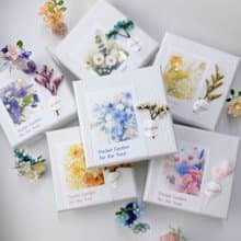 療癒系迷你植栽材料包 六色可選 居家/辦公桌裝飾禮物