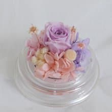 情人粉紫鐘罩 結婚捧花永生乾燥花畢業謝師禮物生日畢業禮物七夕