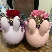 小兔仔桌花/禮品/盆花/永生花
