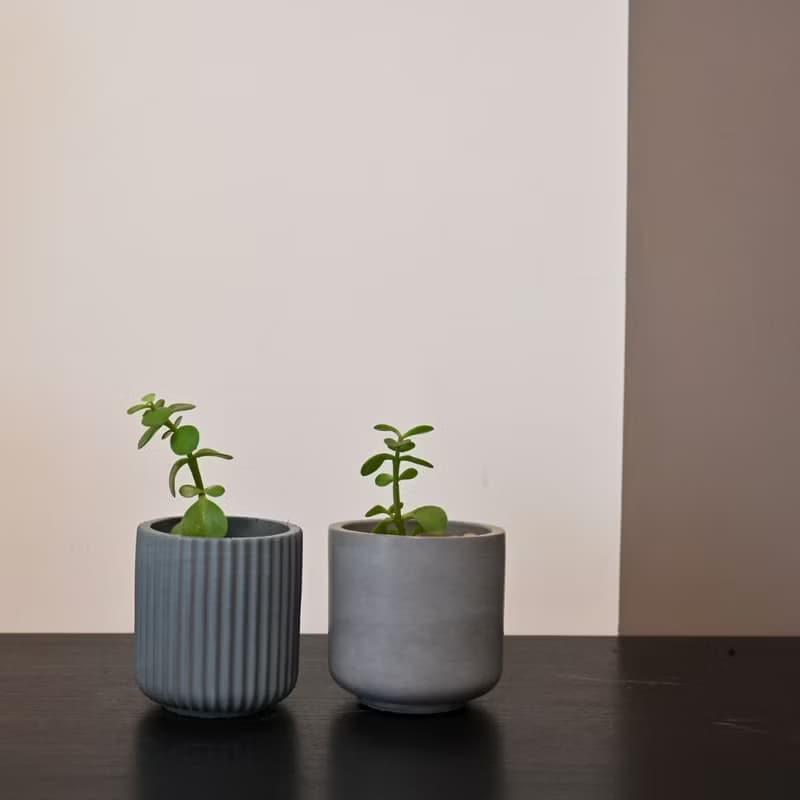 多肉植物水泥盆栽/多肉/植栽/水泥盆/泥作盆栽/盆器/花器/水泥