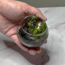新品上市 燈塔守望 / 超迷你掌上型手工微景觀生態盆