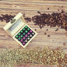 桃園場 SmartCafe 咖啡烘豆初心者的培養 個人學習 情侶學習