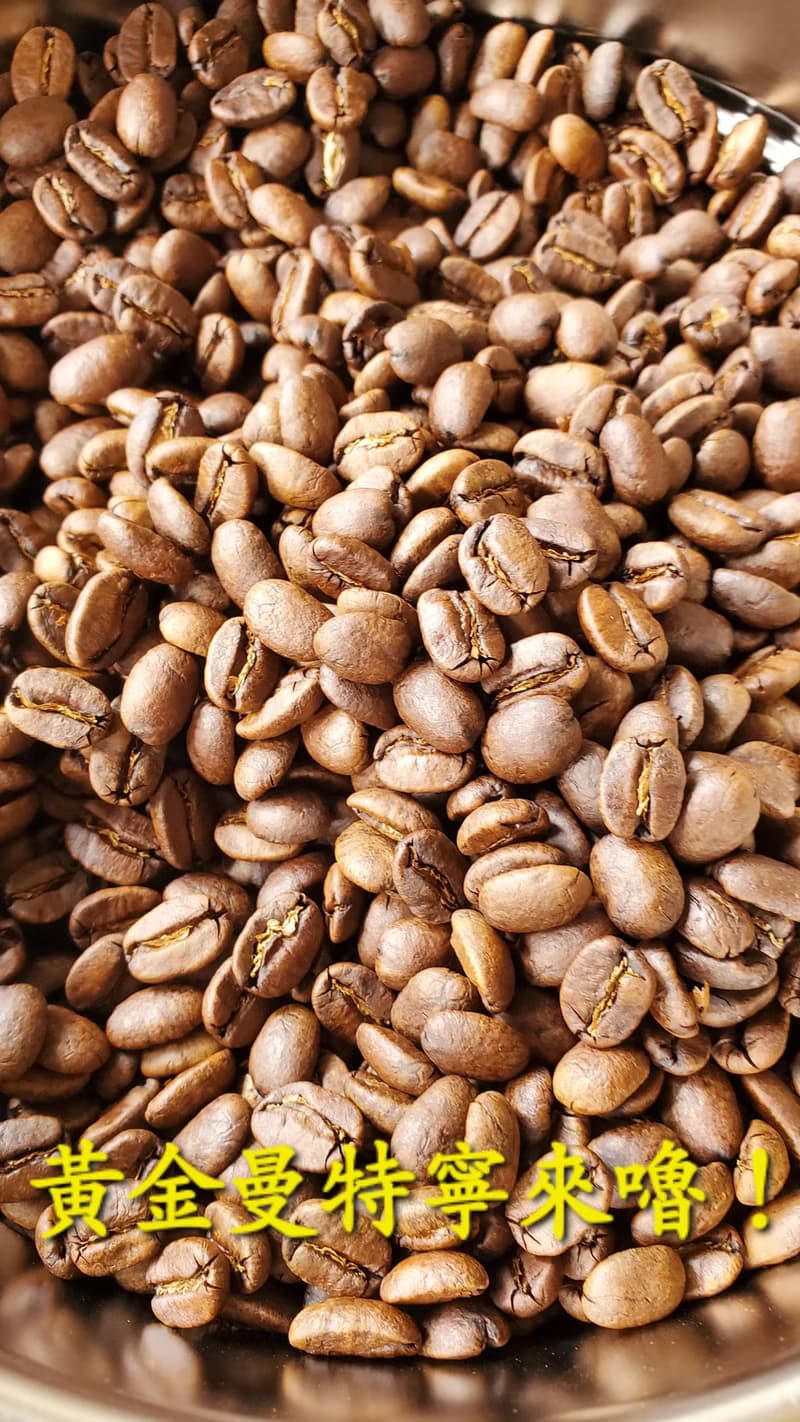 【體驗】桃園場 SmartCafe 咖啡烘豆初心者的培養 個人學習 情侶學習
