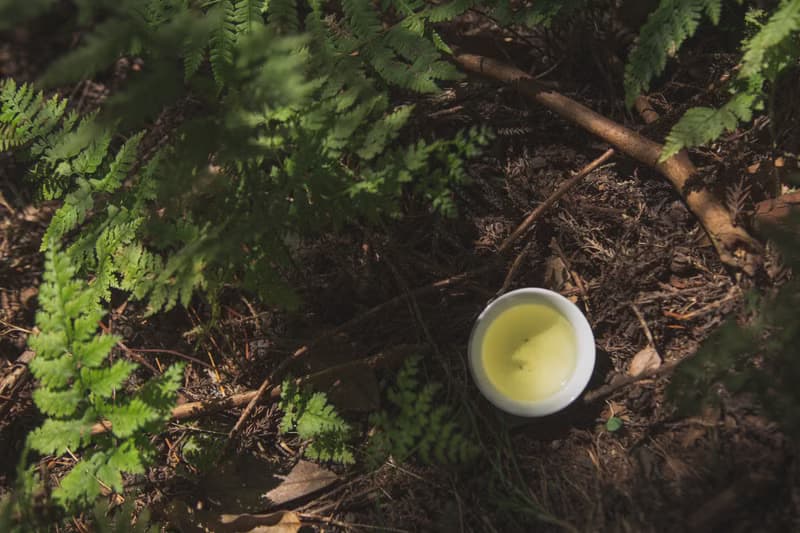 山岳民族レンテン族の布で包むギフトセット　お茶3種　初摘みほうじ茶・萎凋煎茶・和紅茶　　化学肥料・農薬不使用栽培