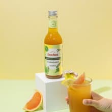 Zestea生茶啤酒花康普茶 300ML*12瓶 (無添加、富含益生菌)