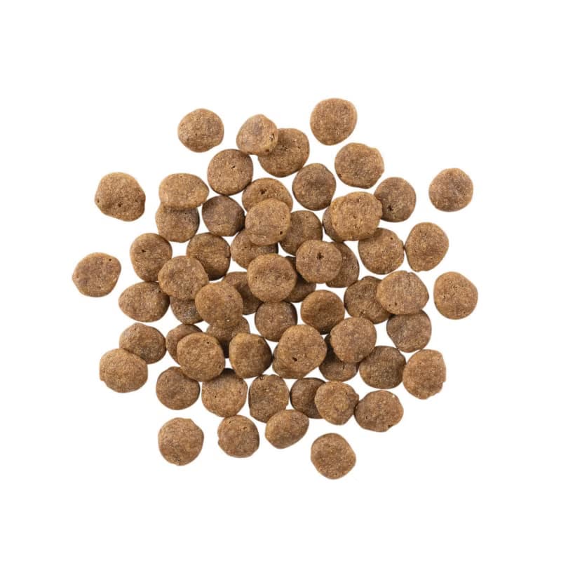 【狗主食】go! 狗狗天然糧 300克(100克3包替代出貨) 狗飼料