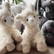 北歐 瑞典 Teddykompaniet Liam 羊駝 彌月禮 嬰兒 寶寶
