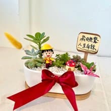 櫻桃小丸子ちびまる子ちゃん 日式 多肉組盆 多肉 創意盆栽 盆栽